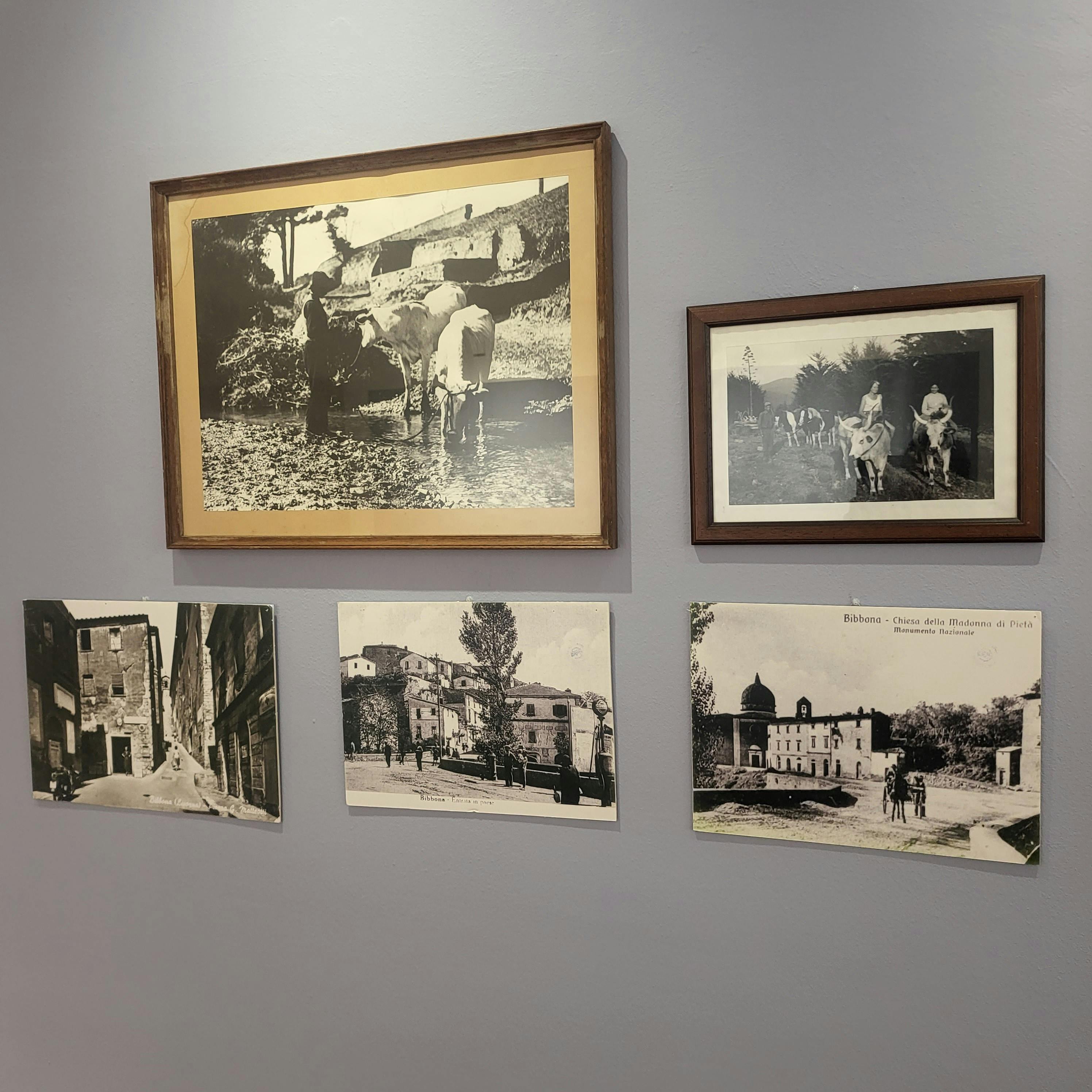 Gli Uffizi Diffusi arrivano a Bibbona