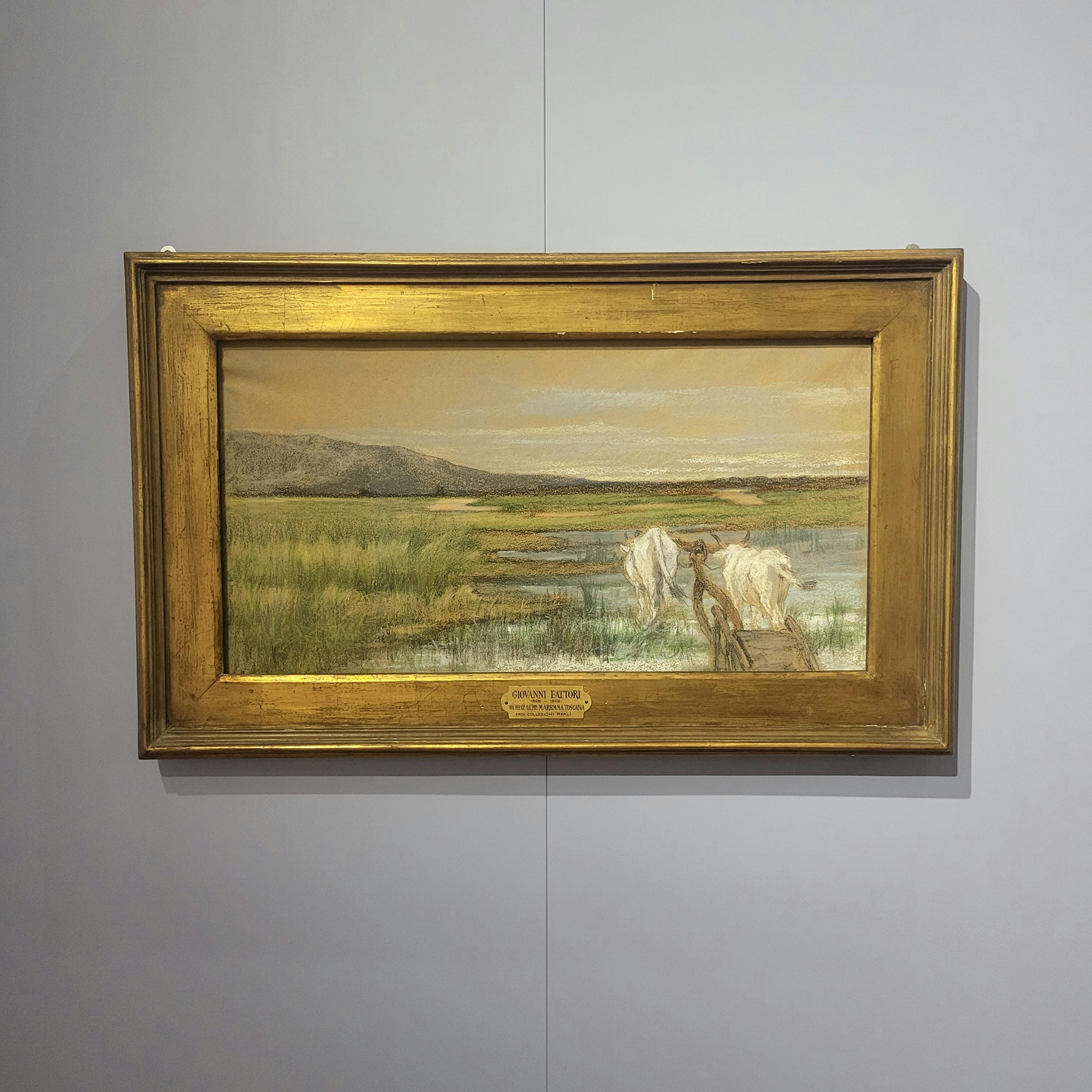 Gli Uffizi Diffusi arrivano a Bibbona