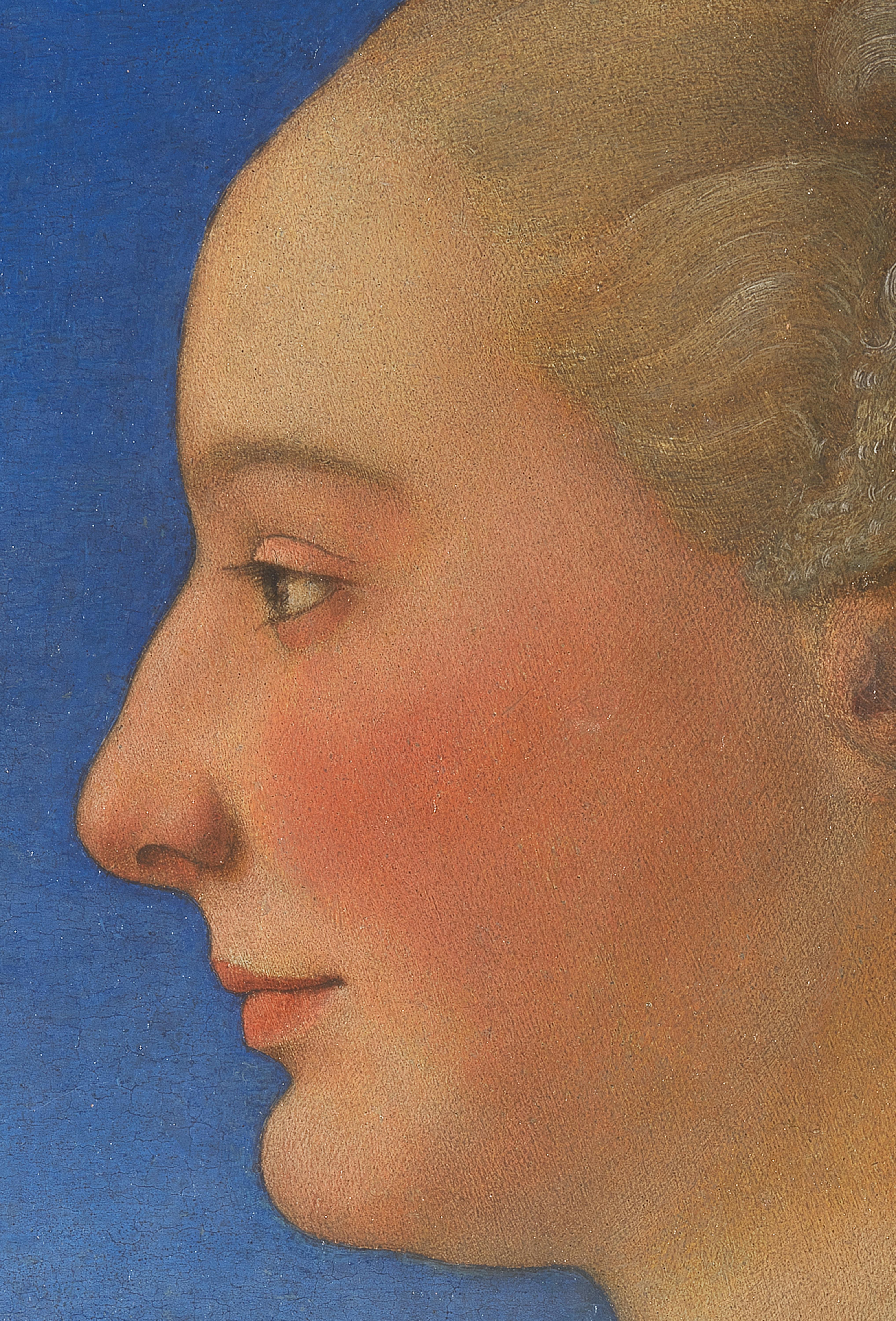 Portrait of a Lady