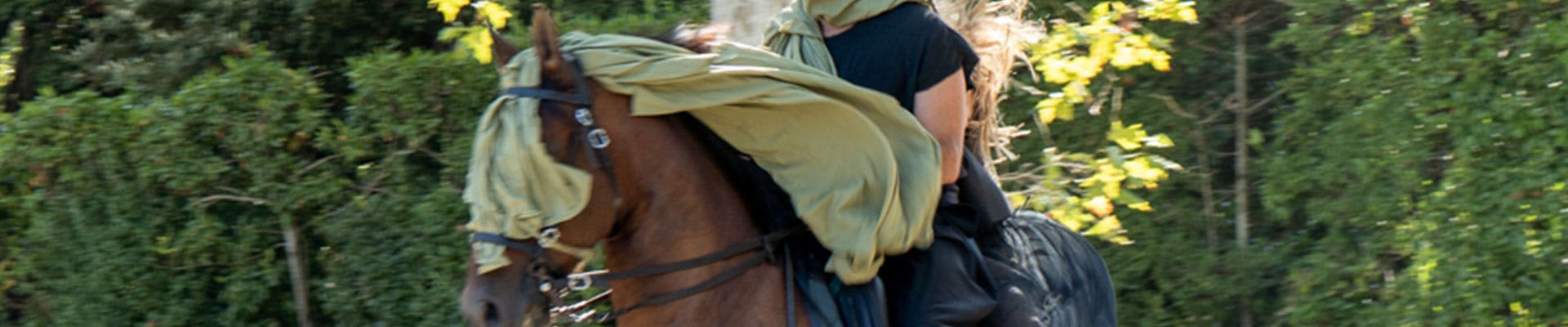 Apocalisse a Boboli. Visioni dal Libro di Giovanni Apocalisse a Boboli. Visioni dal Libro di Giovanni