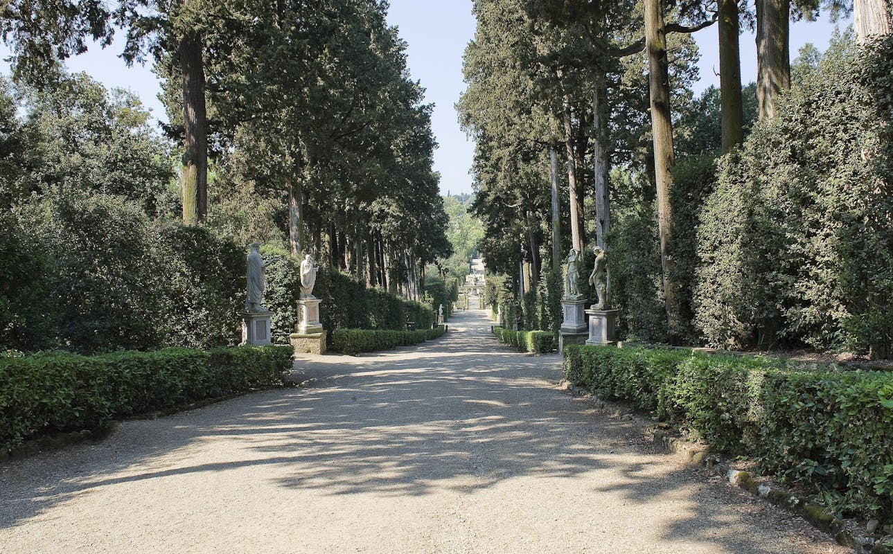 Boboli - Viale dei Cipressi