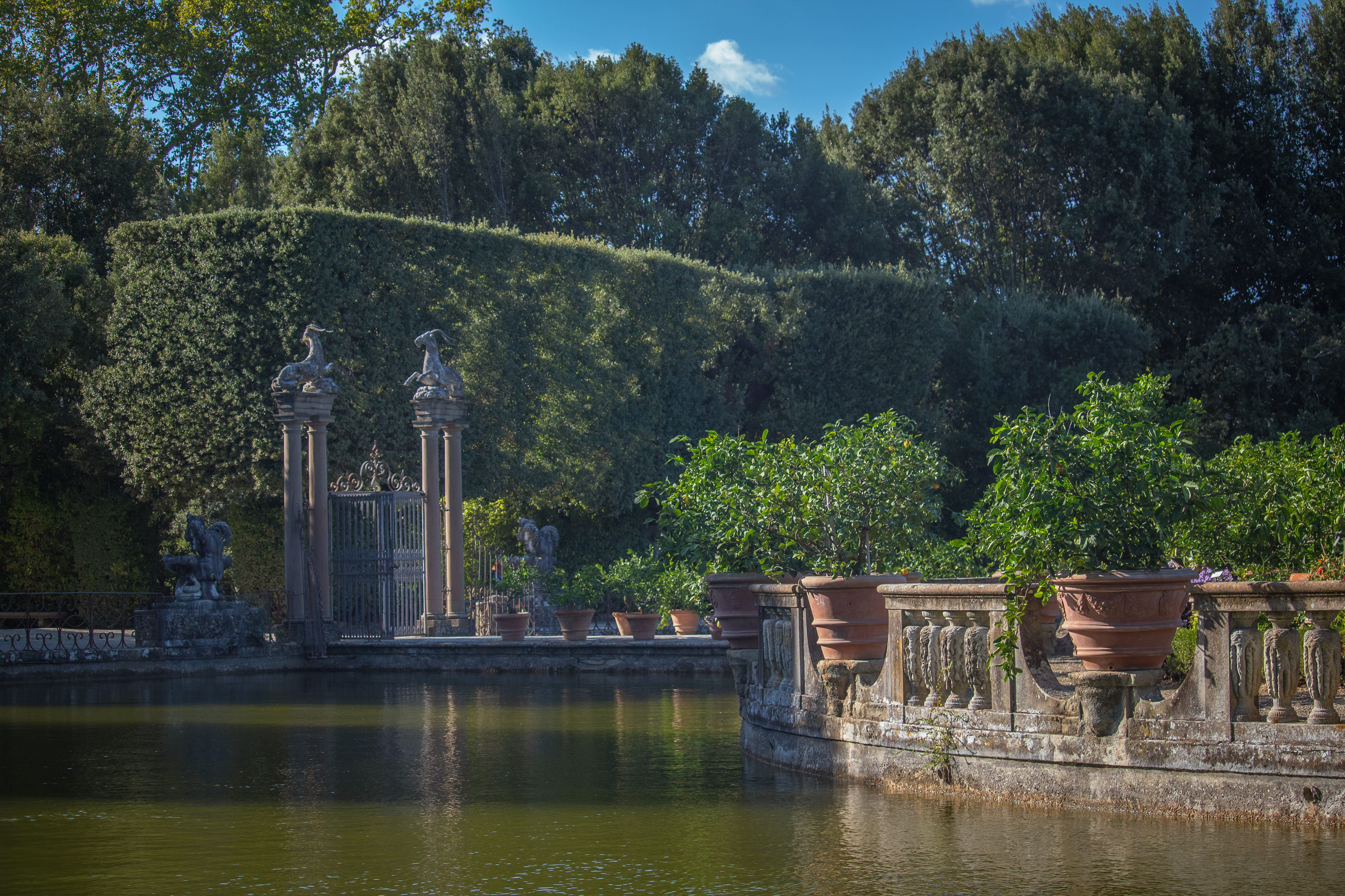 Giardino sontuoso con un ampio stagno circondato da vasi di terracotta e piante rigogliose, delimitato da intricati cancelli di ferro battuto e siepi curate sotto un cielo blu limpido.