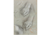 Studi di mano, di dita, di gamba e schizzo di piede
