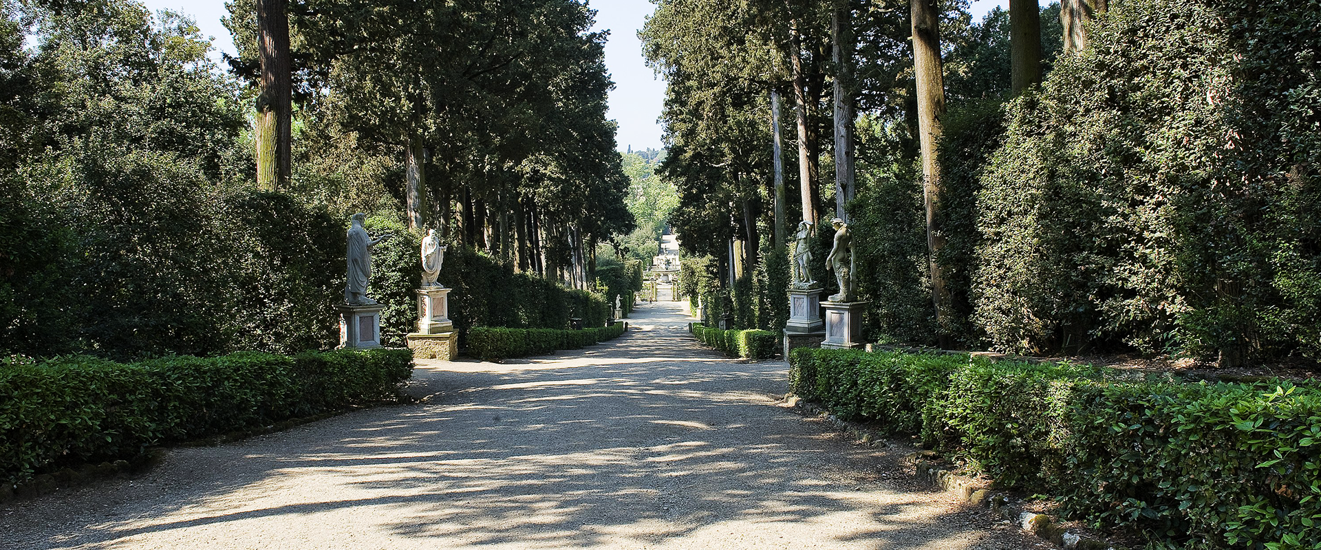 Tra Selva e Stelle. Personaggi della Commedia di Dante a Boboli