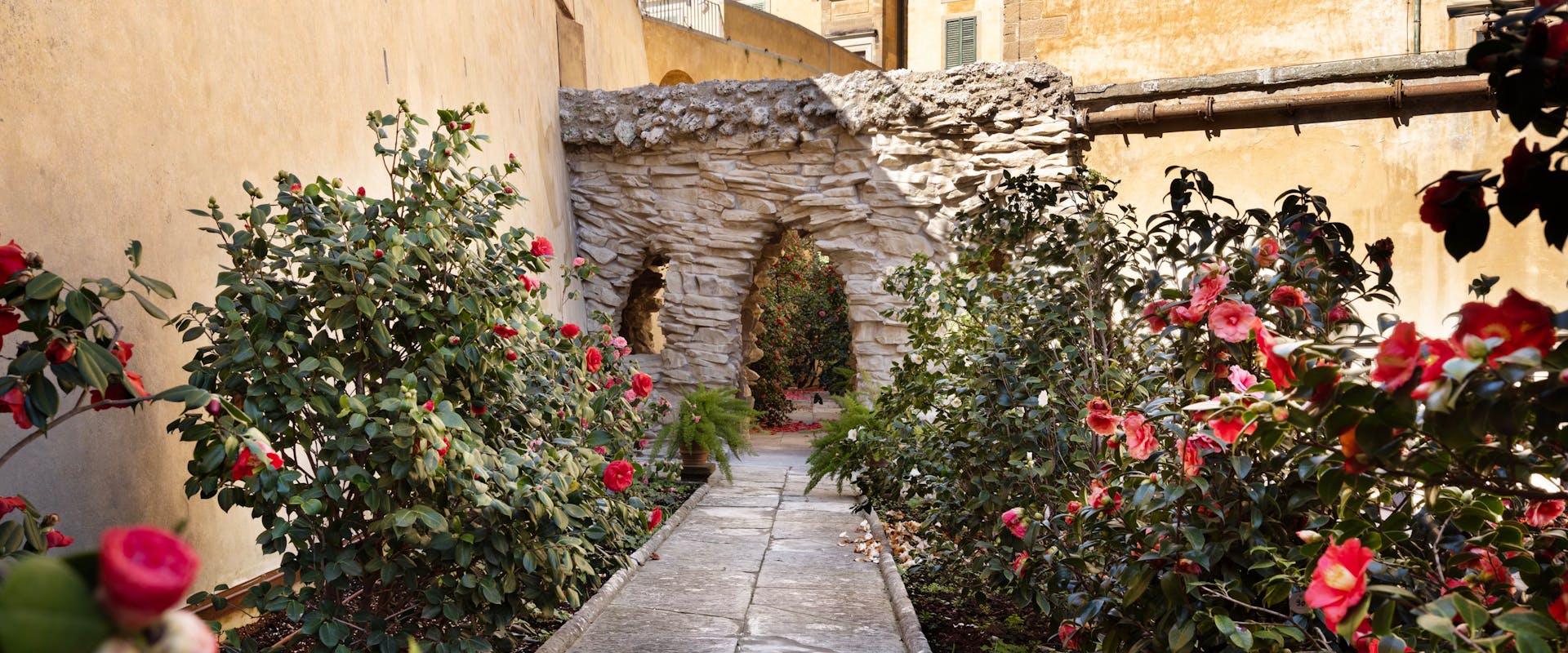 The Camellia Garden in Boboli The Camellia Garden in Boboli