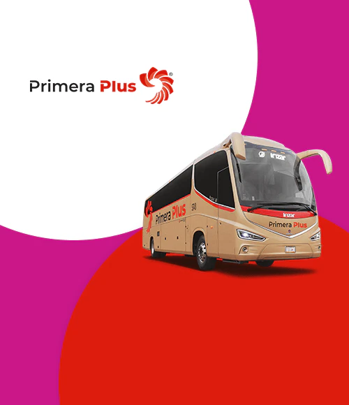 Autobús Grupo Flecha Amarilla - Primera Plus
