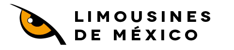 description-YnVzbGluZTozMTk=