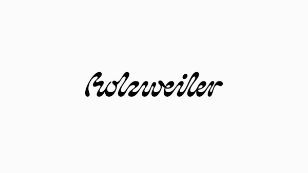 https://www.datocms-assets.com/10318/1704377577-aa-website-covers-size.jpg