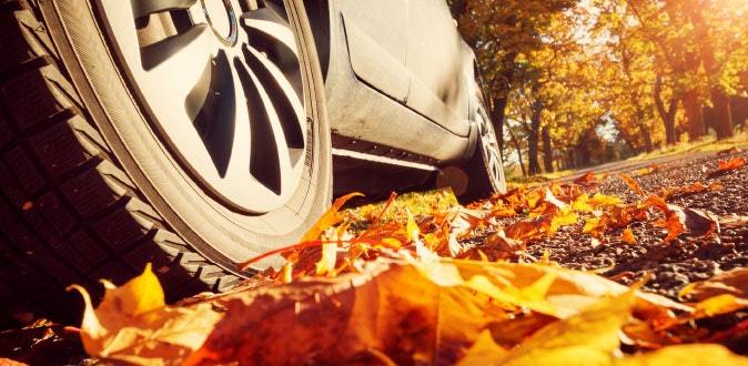 Rij veilig in de herfst: de 6 beste tips Rij veilig in de herfst: de 6 beste tips