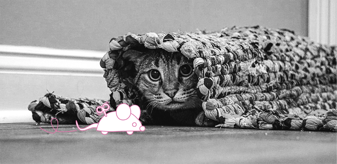 Afbeelding zonder ALT