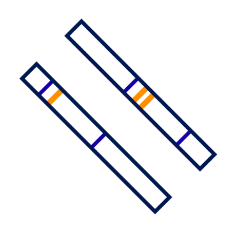 Icon of test strips.