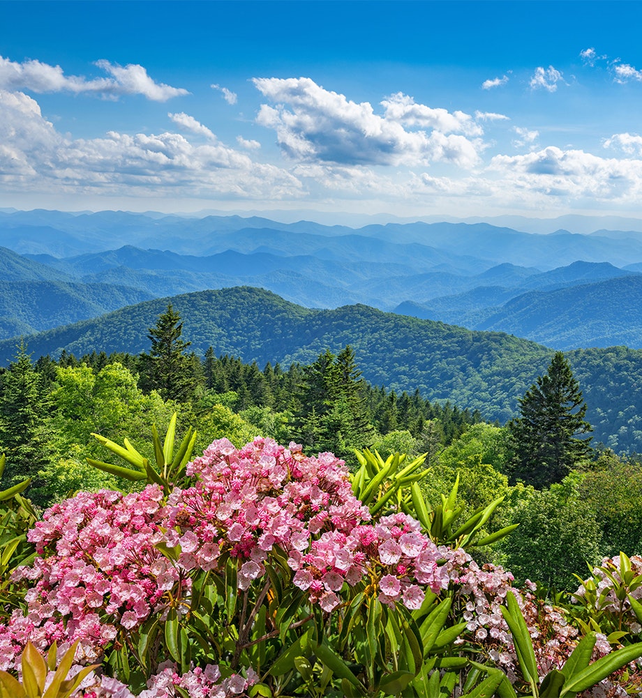 Front desk at Chance + Co. Plastic Surgery and Aesthetics