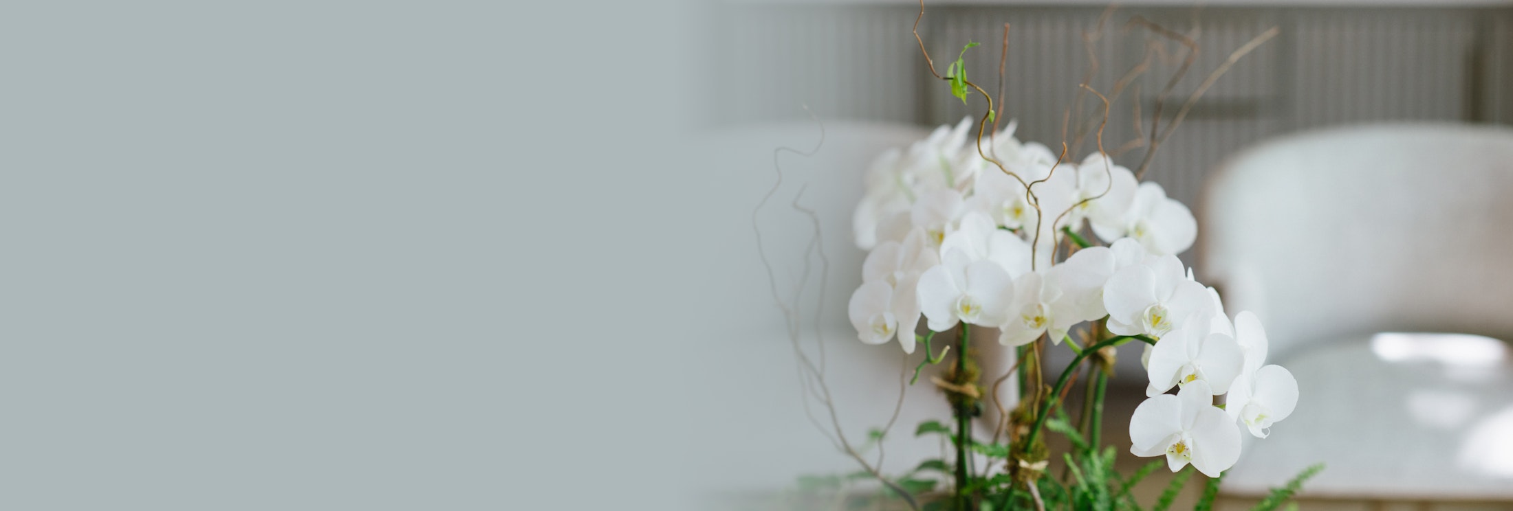 White flowers