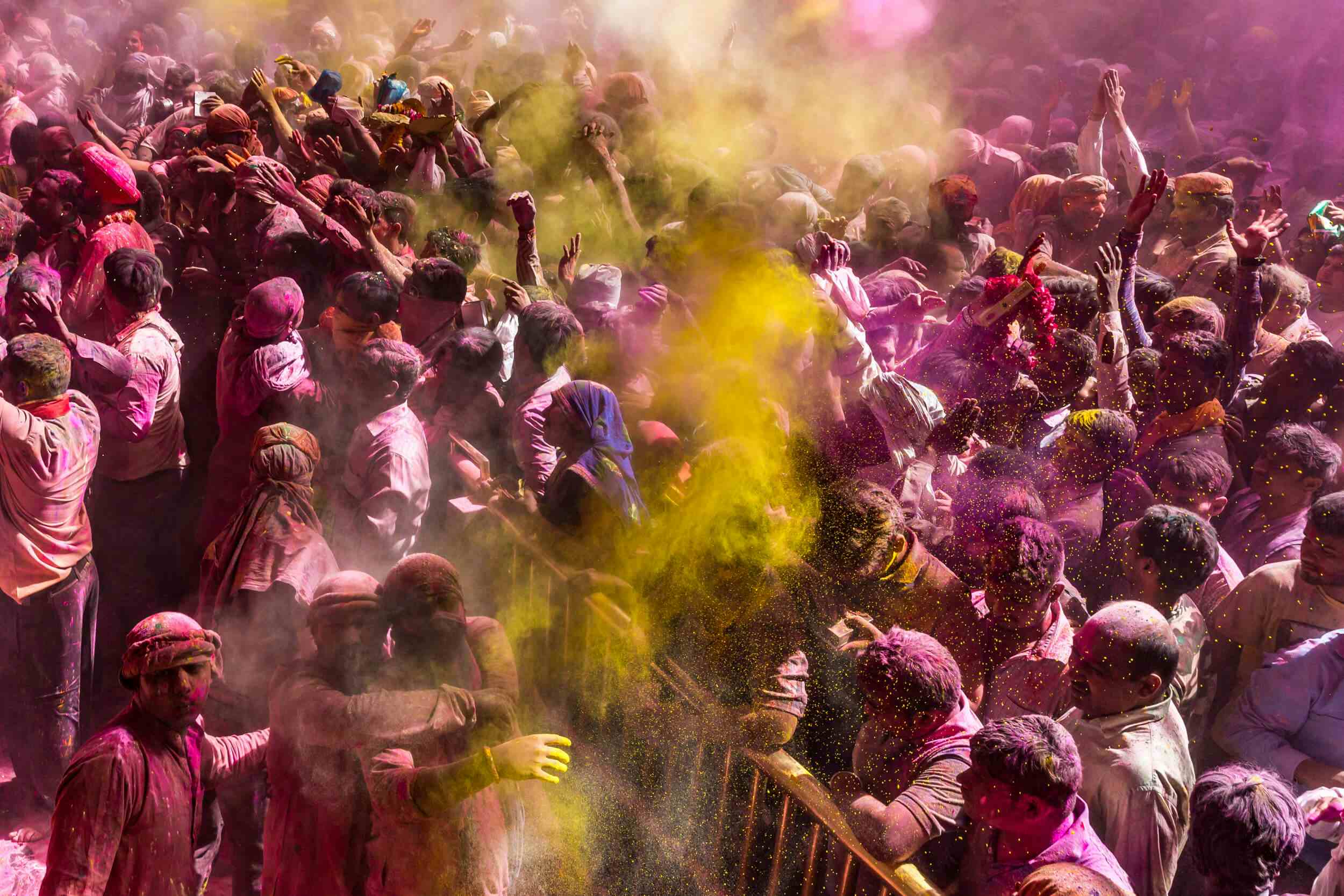 Surviving the Holi festival