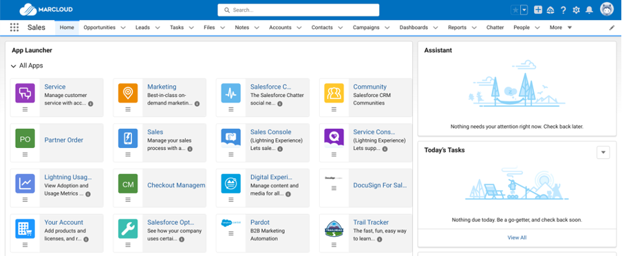 Screenshot of the Salesforce Platform interface