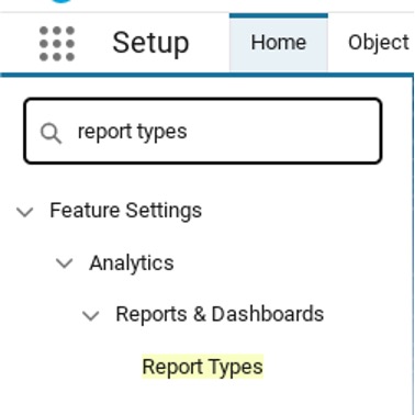 Screenshot of Salesforce navigation showing Report Types