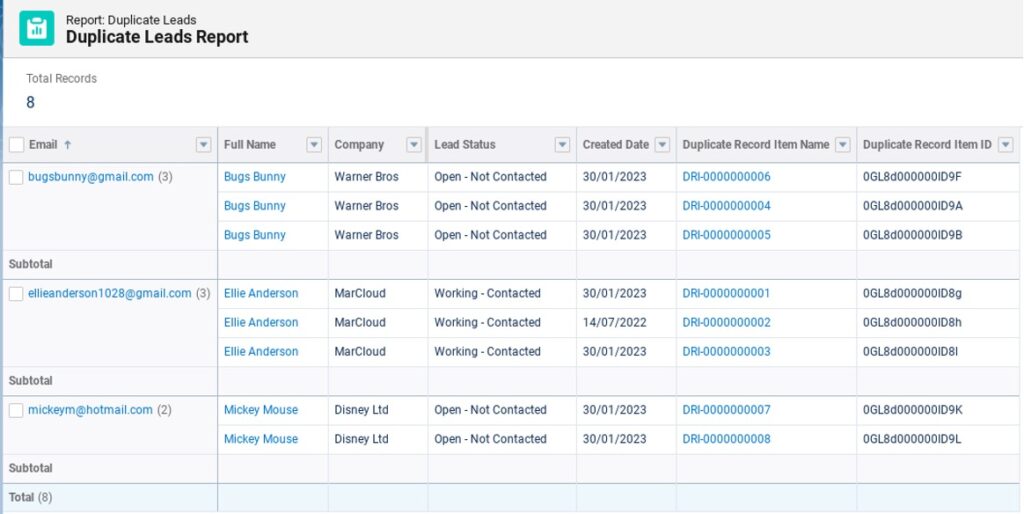 Screenshot of example Salesforce Duplicate Leads Report