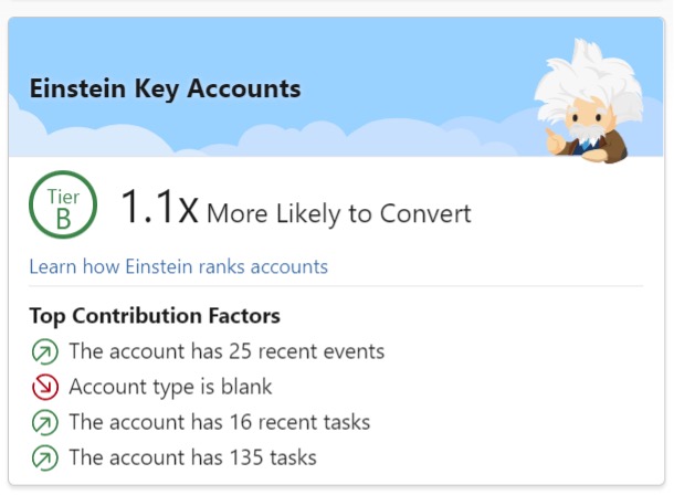 Einstein Key Accounts screenshot