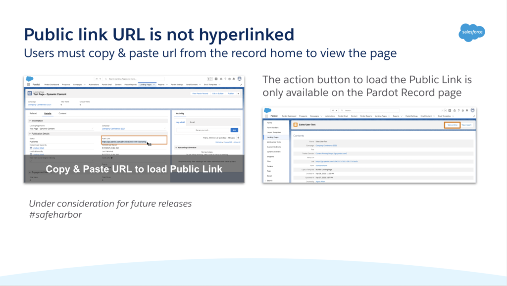 Salesforce slide: public link URL