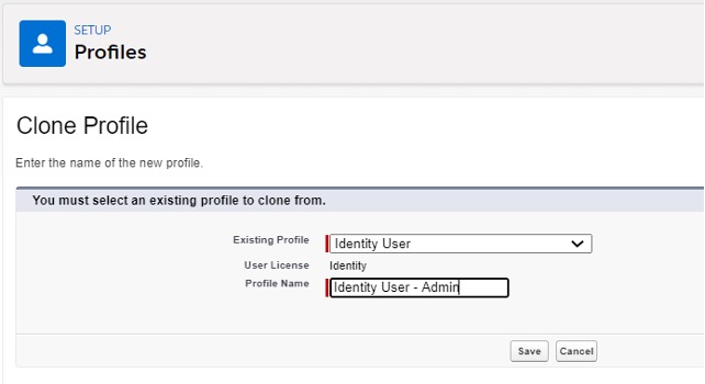 Screenshot of how to set up a custom profile in salesforce