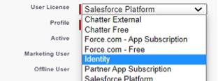 Dropdown menu showing Salesforce Licenses and Identity Licenses