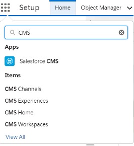 Screenshot of how to turn on tab visibility to view all Salesforce CMS features