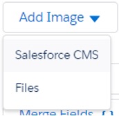 Screenshot using Salesforce Content Management System to import an image