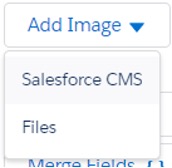 Screenshot using Salesforce Content Management System to import an image