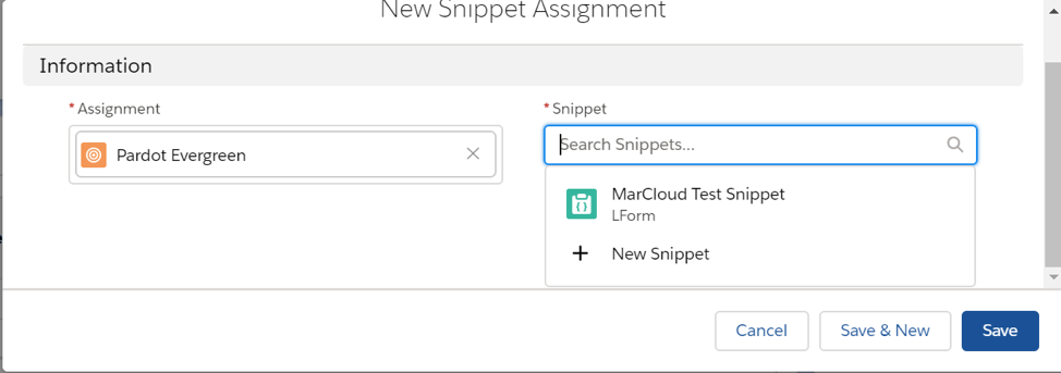 New Snippet Assignment screen