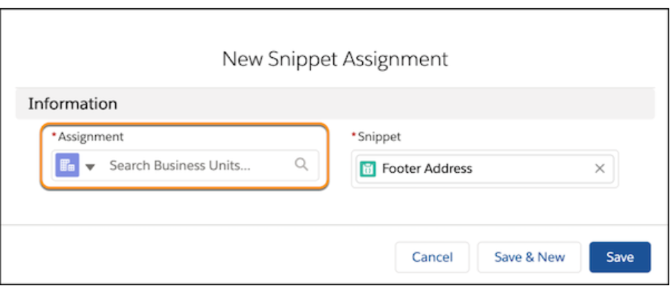 Salesforce Business Unit Snippet Assignment screenshot