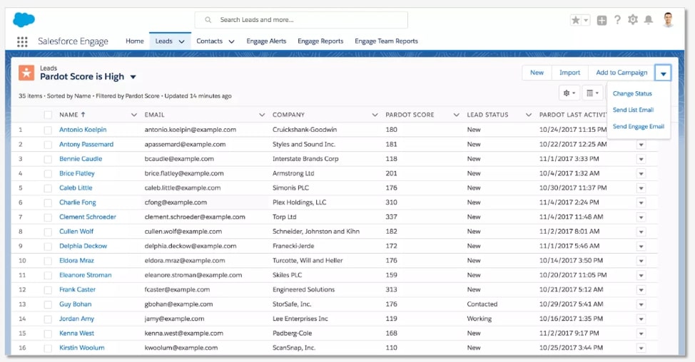 Screenshot of Leads tab