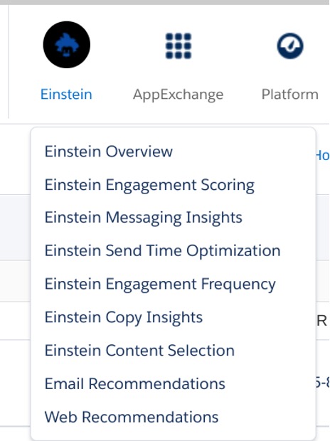 Dropdown menu showing multiple Einstein reports