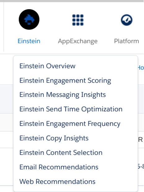 Dropdown menu showing multiple Einstein reports