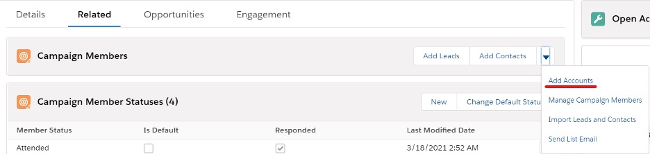 screenshot of how to add accounts to campaign members in salesforce