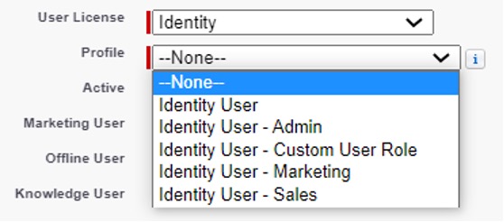 Screenshot of creating a new user in Salesforce with the Identity Licence.