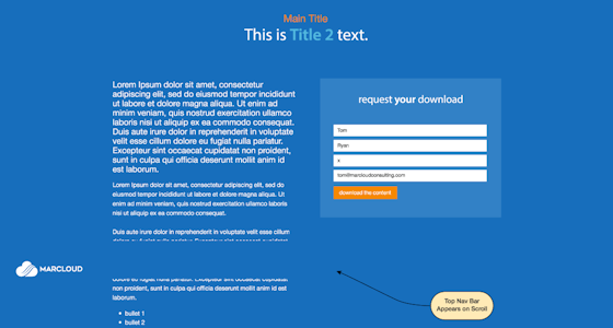 Screenshot of landing page template LP01