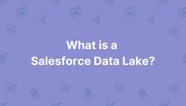 Coloured background with text What is a Salesforce Data Lake