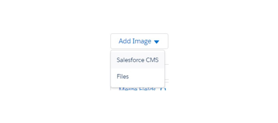 Screenshot of the Add Image option in Salesforce CMS