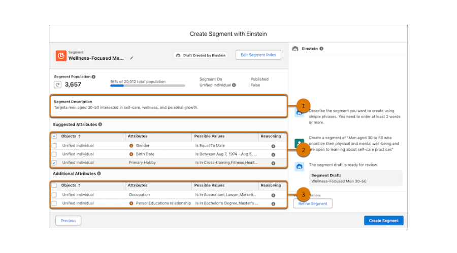 Screenshot of creating a segment with Einstein