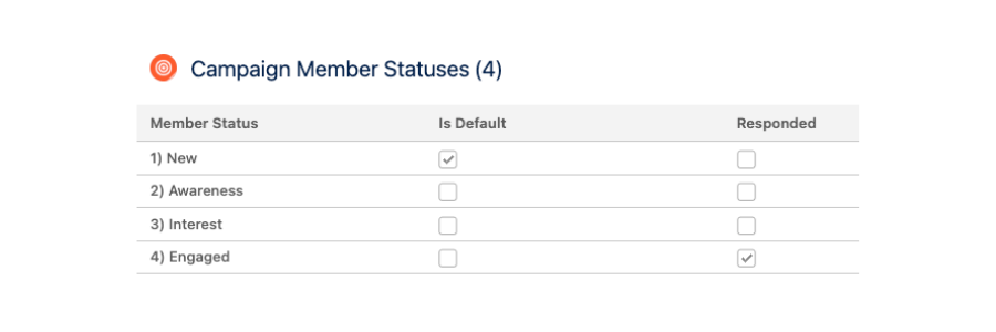 Screenshot of Campaign Member Statuses