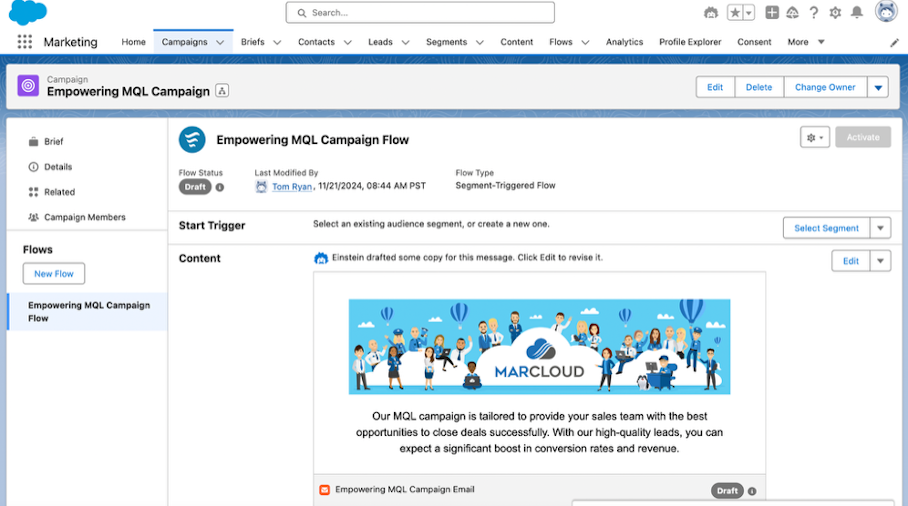 Screenshot of a campaign in Marketing Cloud Advanced