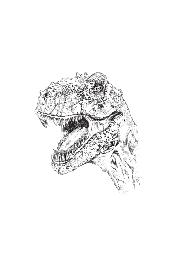 Dino-illustration-drawing-animal-t-rex-raptor-dinosaurus-jurassic-hand-drawing