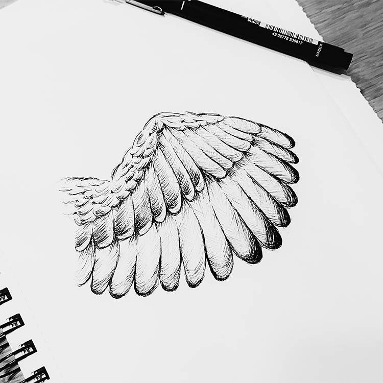 illustration drawing black and white with fineliner bird wings