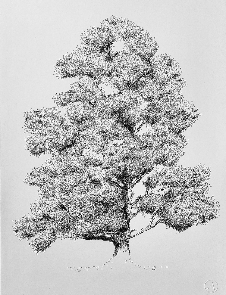 illustration tree with fineliner black and white drawing