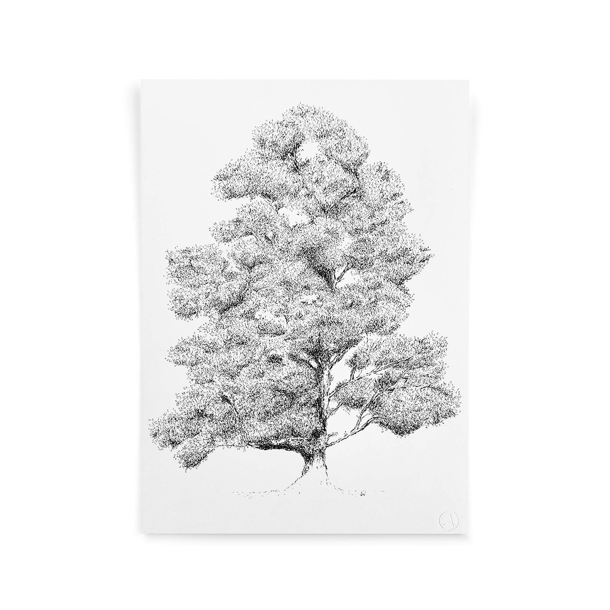 illustratie-pentekening-inkt-drawing-tree-black-and-white kopie