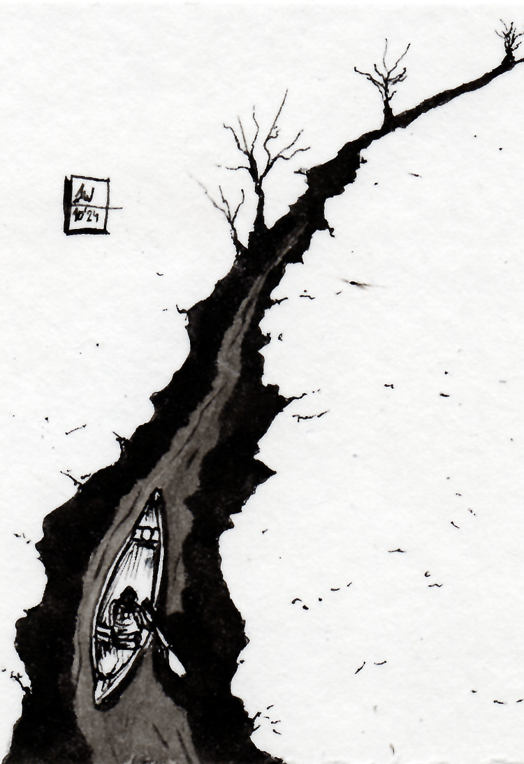 illustratie pentekening inkt drawing splash black and white indian ink japanese brush illustration fineliner hahnemule creek kano water river