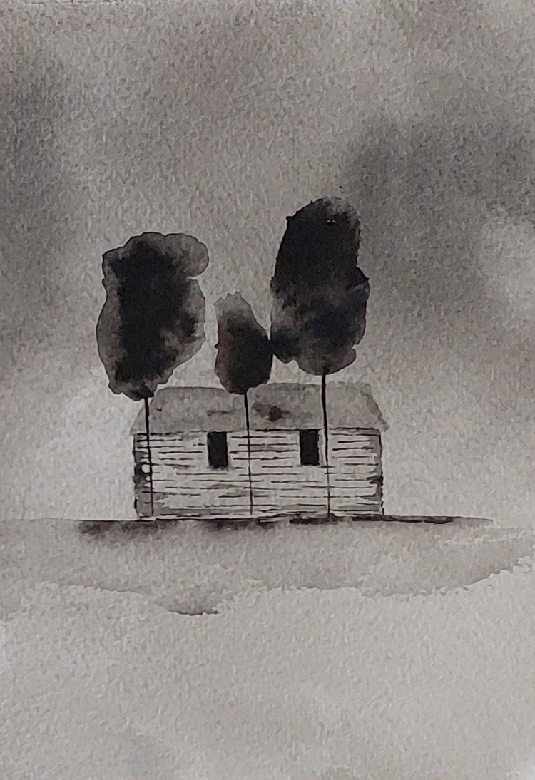 illustratie pentekening inkt drawing splash black and white indian ink japanese brush illustration fineliner hahnemule