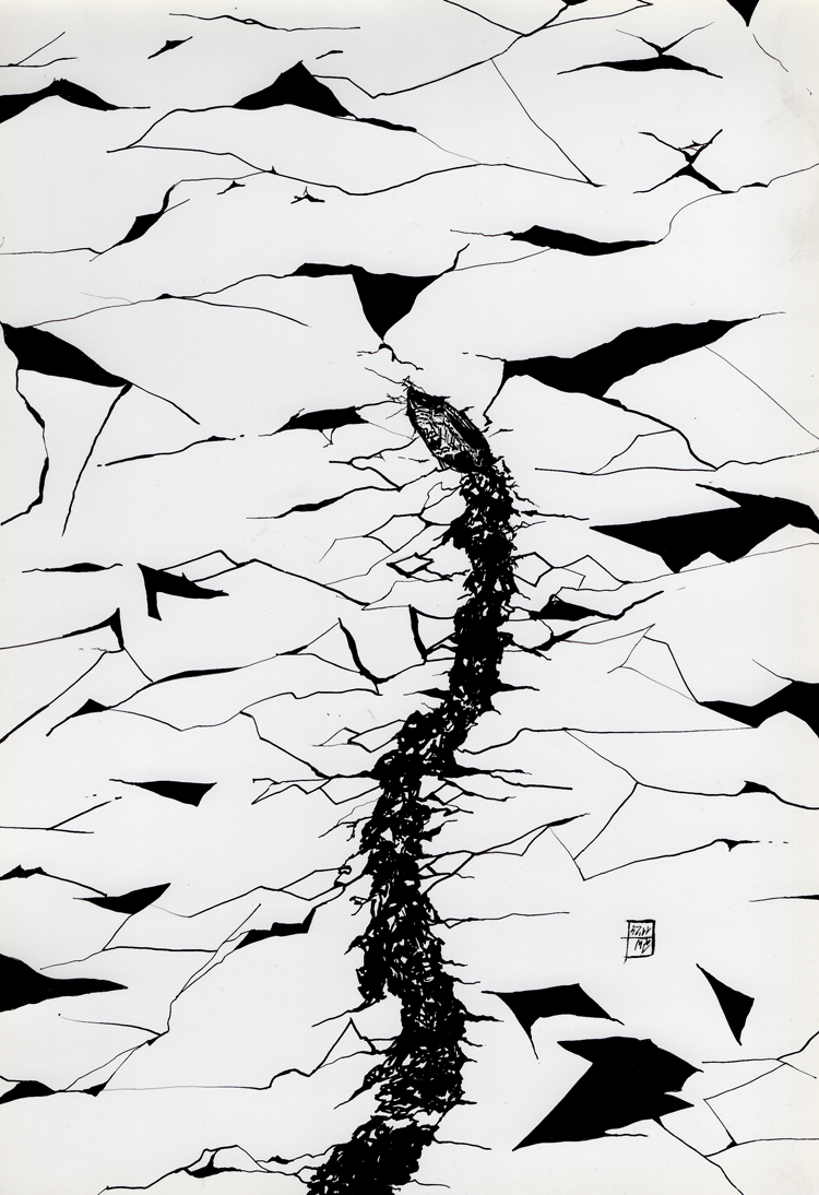 illustratie pentekening inkt drawing splash black and white indian ink japanese brush illustration fineliner hahnemule ice ijs boot boat schip varen