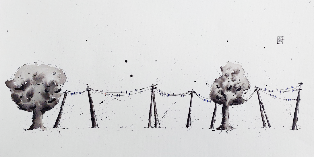 illustratie pentekening inkt drawing splash black and white indian ink japanese brush illustration fineliner hahnemule birds vogels pentel lamy safari