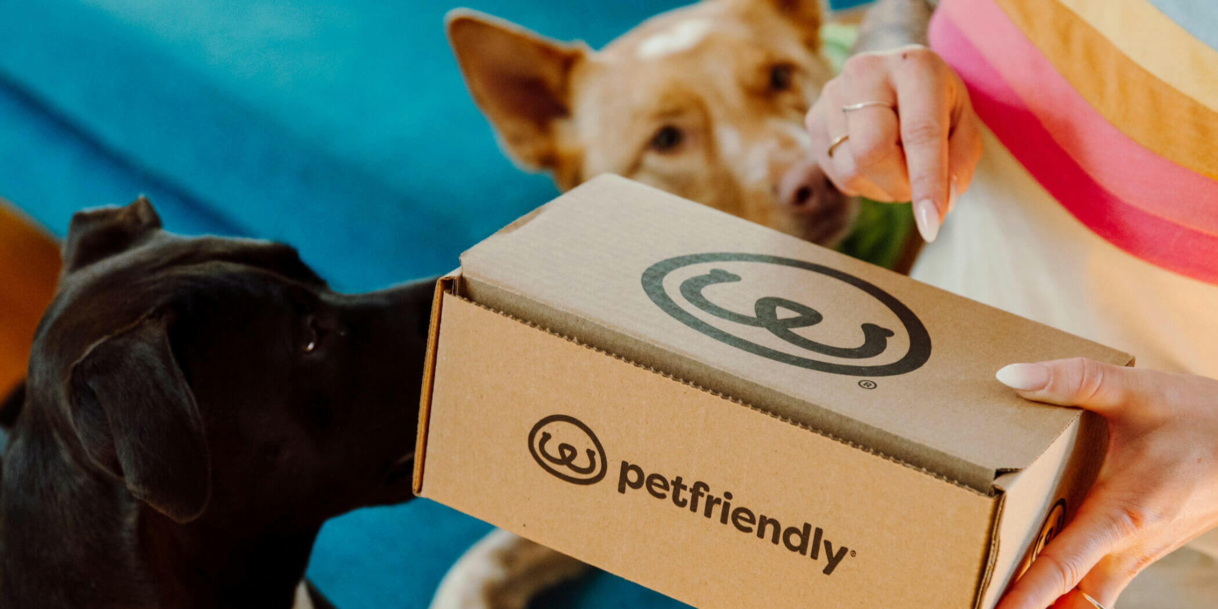 PetFriendly Box, Friendly Pets, Friendly Pet